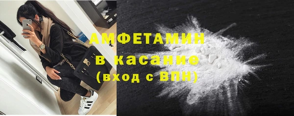 стаф Алзамай