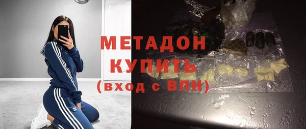 стаф Алзамай