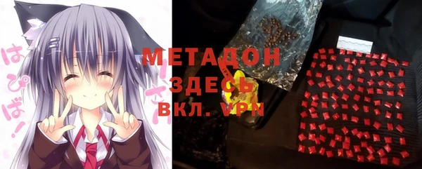 стаф Алзамай