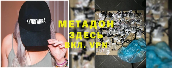 стаф Алзамай