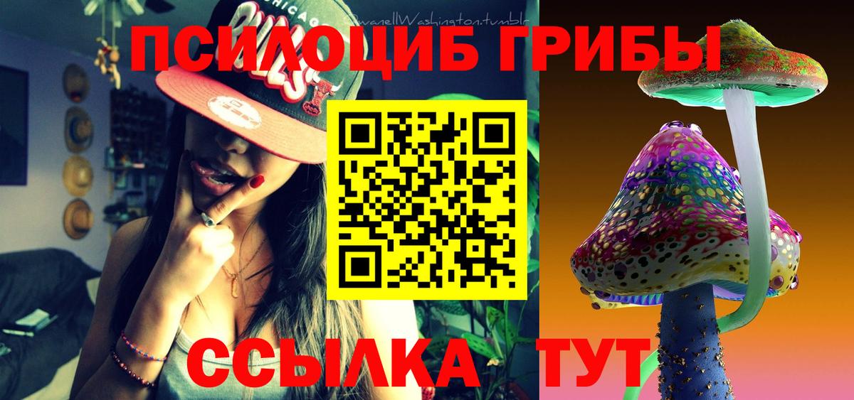 Галлюциногенные грибы мицелий Междуреченск