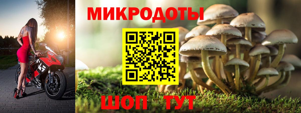Псилоцибиновые грибы Psilocybe  Вход с VPN  Междуреченск  Галлюциногенные грибы Psilocybe 